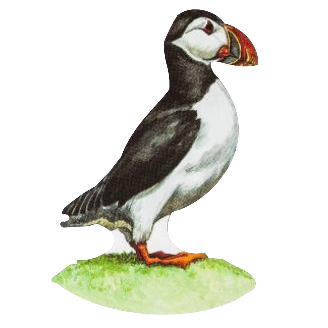 Puffin (4" x 5.5")