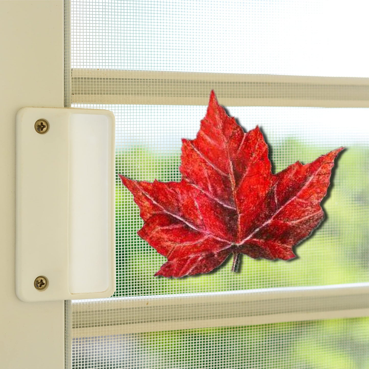 Maple Leaf (5" x 4")