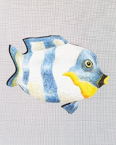 Screen Door Saver - Screen Magnets - Keep People and Pets from Running Into Screen Doors & Patch Small Holes with Screen Door Magnets - Blue & White Fish - 4 x 5 inches - Pack of 2 (1 Pair)