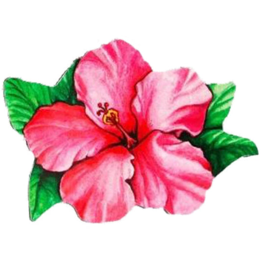Hibiscus (4" x 5")
