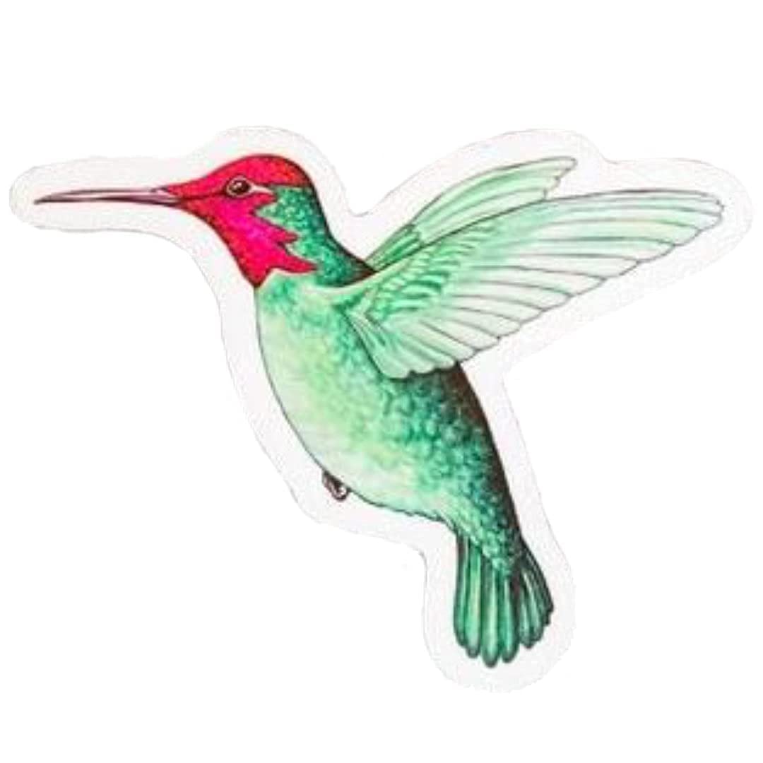 Humming Bird (5.25" x 4.75" )