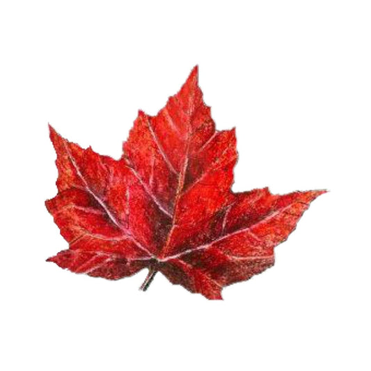 Maple Leaf (5" x 4")
