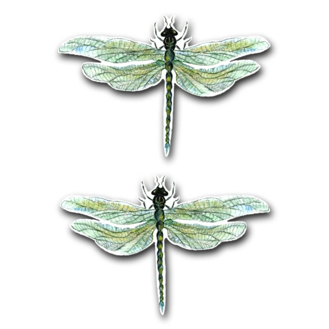 Dragonfly (6.25" x 4.25")