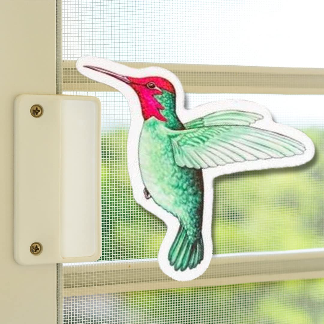 Humming Bird (5.25" x 4.75" )