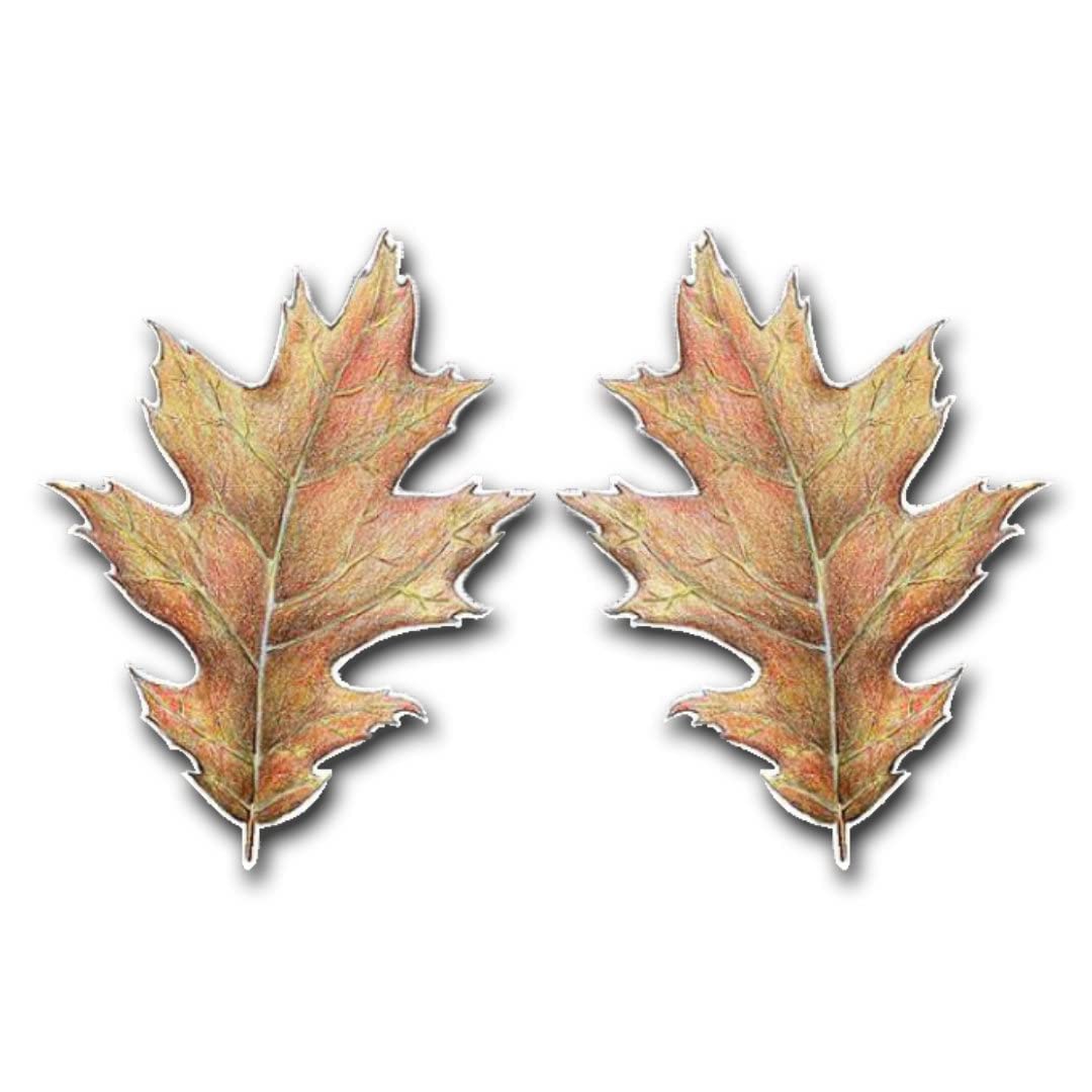 Oak Leaf (4" x 5.25")