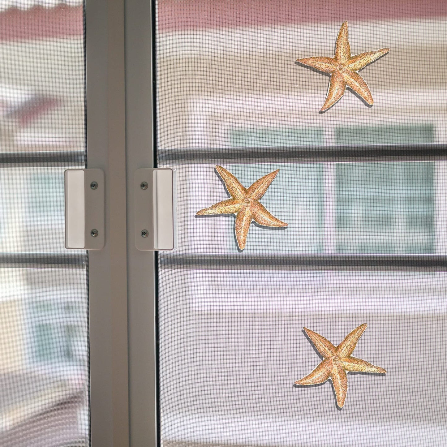 Starfish (5.5" x 5.5")