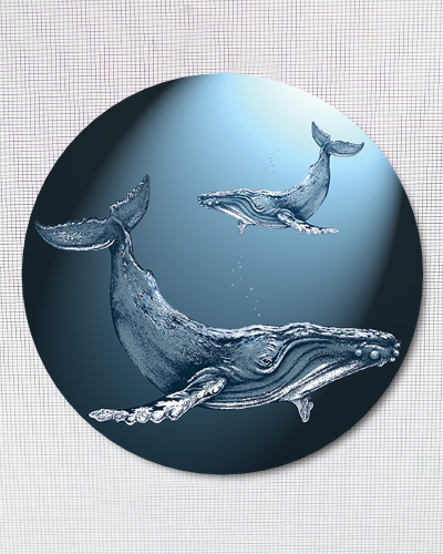 Humpback Whales (5.75" x 5.75")